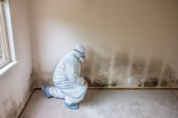 Best Toxic Mold Removal  in Harrisburg, SD