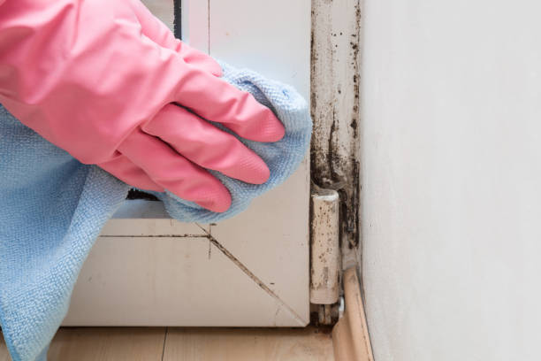 Best Emergency Mold Removal  in Harrisburg, SD